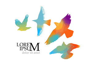 Fototapeta premium Abstract colored flying birds. Mixed media. Vector illustration