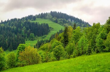 Mountain landscape in spring scenery. Picturesque view stretches over green meadow and hill covered with pine trees, Beskids mountains, Poland.