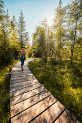 Mountain landscape in Slovakia mountains, Juranova dolina - valley in The Western Tatras national park, oravice, Orava region. Educational trail through the bog © Zedspider