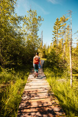 Mountain landscape in Slovakia mountains, Juranova dolina - valley in The Western Tatras national park, oravice, Orava region. Educational trail through the bog © Zedspider