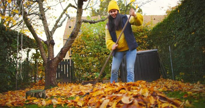 Young woman raking up colorful leaves and smiling while cleaning up her backyard on a cool autumn afternoon
