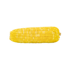 Sweetcorn isolated on transparent background