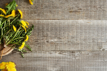 Dandelion plants with roots on wooden background with copy space