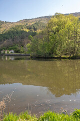 Spring Landscape of Pancharevo lake, Bulgaria