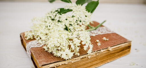 Spiritual travels with a book of self-care spells with recipes for spa salons made of elderberry juice. Elderberry flowers on a white wooden background near a vintage book.