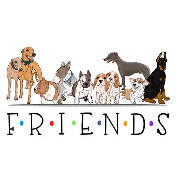 Illustration of dogs, greyhound, bull terrier, doberman, basset hound in the style of the series Friends. Beautiful T-shirt print, textile print, logo, icon