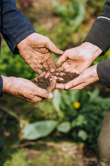 Elderly man and woman gardeners hold hands, holding earthen soil, enjoying nature in the garden...