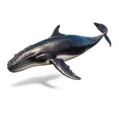 Baby Humpback Whale isolated on white (generative AI)