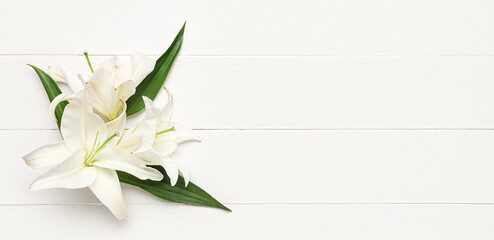Delicate lily flowers on white wooden background with space for text