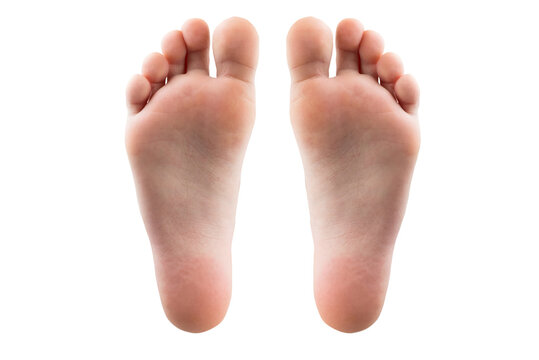 foot and heel on white background