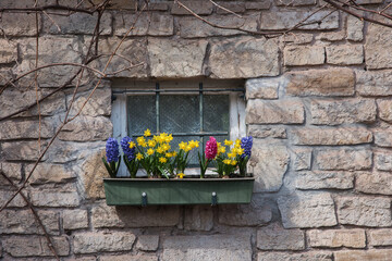 Fototapeta na wymiar Country house window with flowers