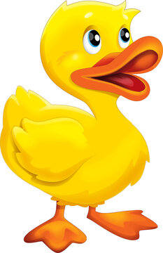 Cartoon happy farm animal happy cheerful duck illustration for kids
