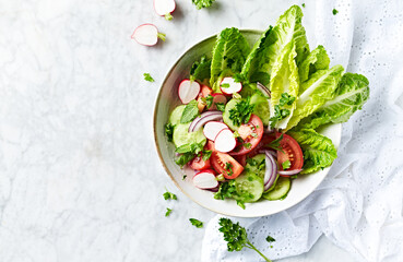 Spring salad with tomato, lettuce, cucumber and radishes. Copy space. Top view