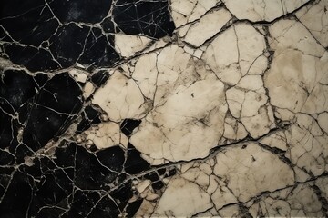 black and beige marble texture with big black veins