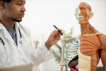 Close up view of multiethnic male with stethoscope marking joint of humerus on anatomy teaching model on workplace background. Focused physician exploring shoulder girdle using human 3d skeleton.