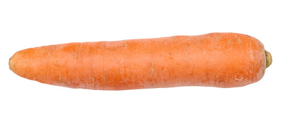 Whole raw carrot on white isolated background