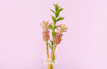 Vase with decorative pineapples and plant branch on lilac background, closeup