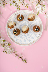 cake pops on plate and round shaped gift box on pink background with blossom
