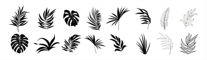 Tropical leaves vector. Set of palm leaves silhouettes isolated on white background. Vector illustration. - obrazy, fototapety, plakaty