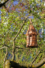 Fototapeta premium Willow basket bird house on tree
