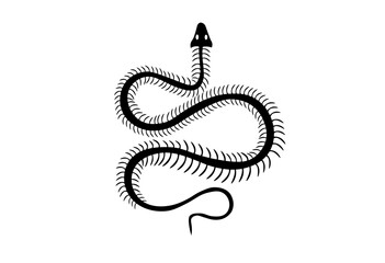 Snake Skeleton