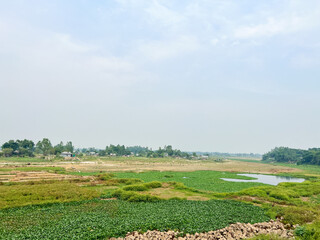 Fototapeta na wymiar Scenic view of rural area of Bangladesh.
