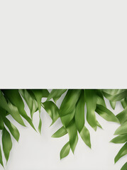 Green Leaves Border on white background, place for text, generative ai