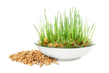 Bowl with fresh wheatgrass and grains on white background