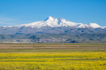 Erciyes mountain view in spring, snowy mountain peak and flowers