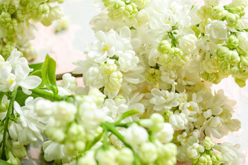 Blooming lilac flowers as background, closeup
