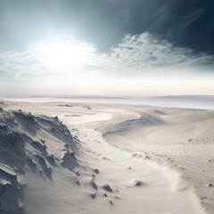Fototapeta na wymiar Snow Desert