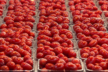 Cherry tomatoes for sale on a canadian market