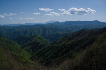 Fototapeta premium 雲取山の石尾根縦走路から見た富士山
