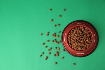 Dry pet food in feeding bowl on green background, flat lay. Space for text