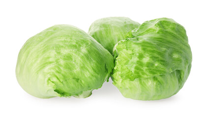 Fresh green iceberg lettuces isolated on white