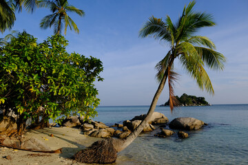 Indonesia Anambas Islands - Telaga Island coast with rocks and palm trees