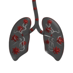human lungs anatomy,covid virus spreads into the lungs,Png file