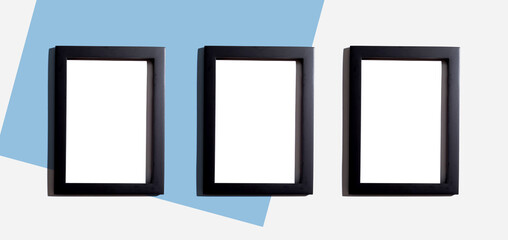 Blank rectangle picture frames