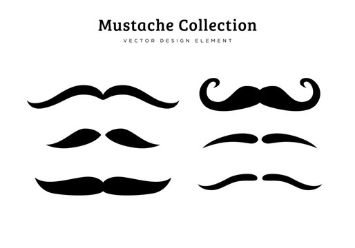 collection of funny mustache type vector illustration features el bandito, the wisp, english, and the tycoon moustache style