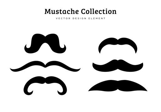 collection of funny mustache style vector illustration features handlebar, rockstar, english, and mexican moustache style