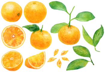 Fotobehang 水彩画イラスト　オレンジ・みかんの素材集　オレンジの葉や実、カットフルーツのセット © よしだなみこ / Namiko Y