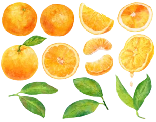 Fotobehang 水彩画イラスト　オレンジ・みかんの素材集　オレンジの葉や実、カットフルーツのセット © よしだなみこ / Namiko Y