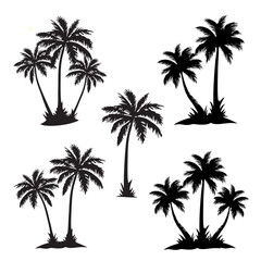 Fototapeta na wymiar set of palm trees