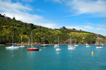 Fototapeta na wymiar Sailboats at waiheke in New Zealand