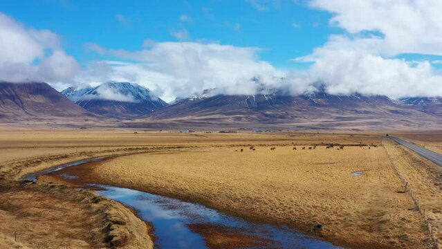 Scenic Icelandic countryside. Mountains with yellow grass at autumn. Blue sky with clouds on the mountain. Aerial rural scene.