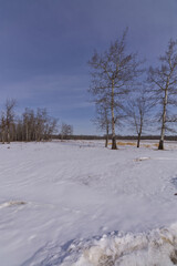 Wintry Landscape of Elk Island National Park