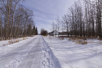 Fototapeta premium Wintry Landscape of Elk Island National Park