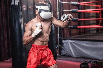 Professional boxer wear virtual reality headsets to engage in immersive boxing workouts simulations while practicing their punching techniques. Live, customized training sessions with boxing coach