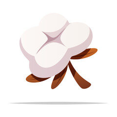 Obraz premium Cotton plant flower vector isolated illustration