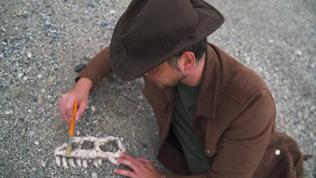 paleontologist archaeologist unearths bones of dinosaur skull
